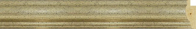 Фото 501.0147.05  пластиковый багет ЛИОН Арт Сервис