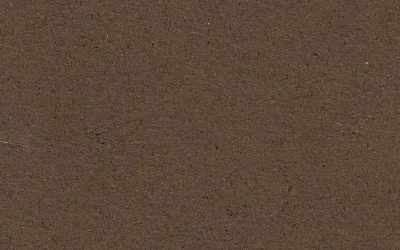 Фото стандартный картон с белой сердцевиной: sepia от ЛИОН Арт Сервис