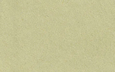 Фото консервационный картон: pastel green от ЛИОН Арт Сервис