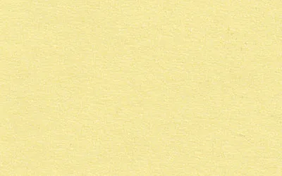 Фото консервационный картон: cream от ЛИОН Арт Сервис