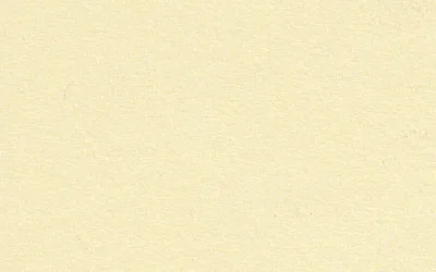 Фото стандартный картон colourmount: beige от ЛИОН Арт Сервис